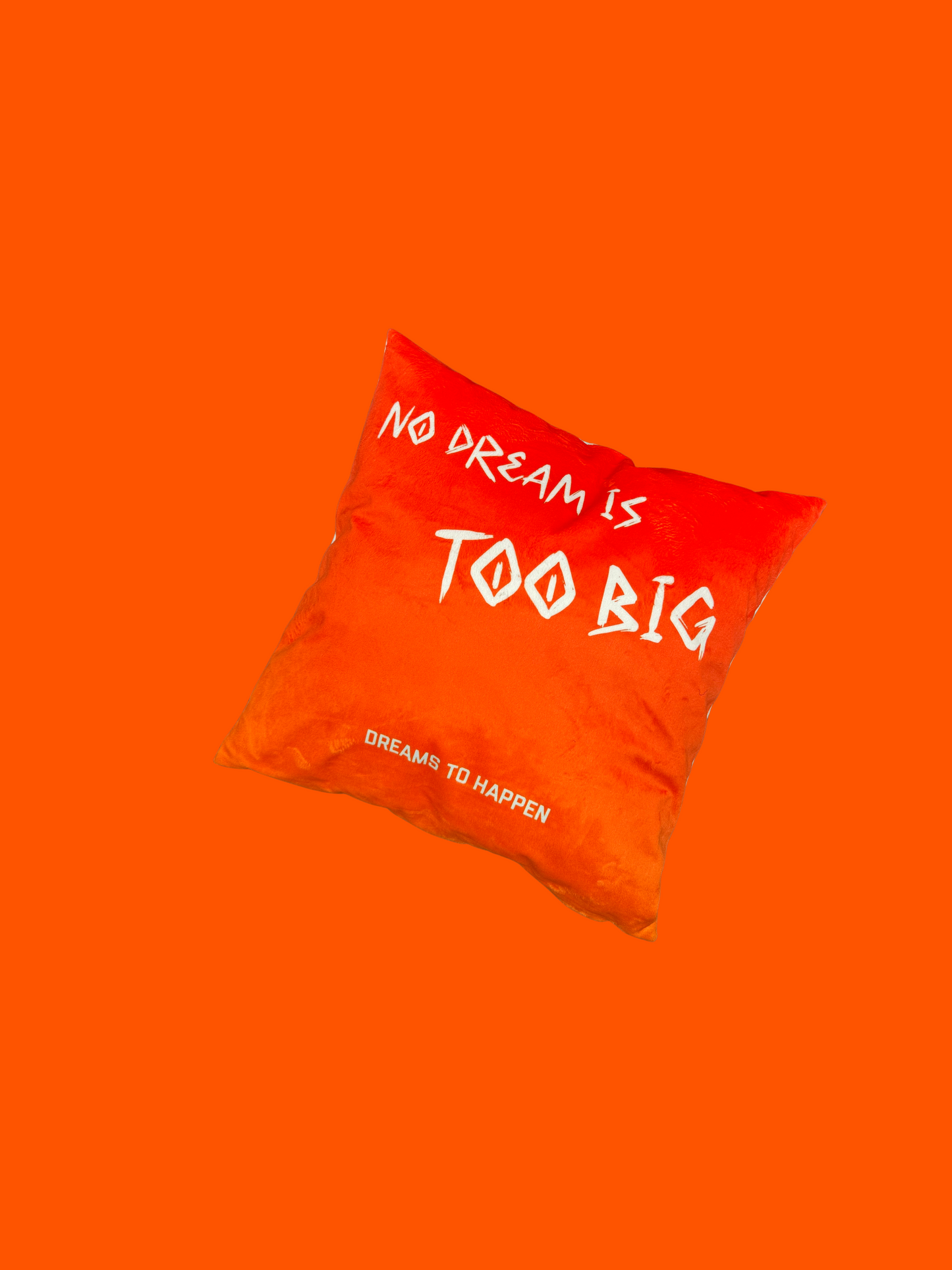 NO DREAM IS TOO BIG PILLOW 1/66