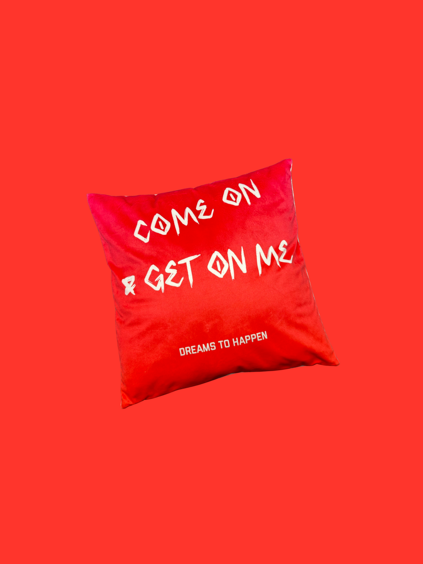 COME ON & GET ON ME PILLOW 1/66