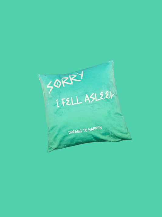 SORRY I FELL ASLEEP PILLOW 1/66