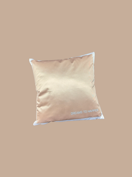 DESERT WHISPER PILLOW 1/66